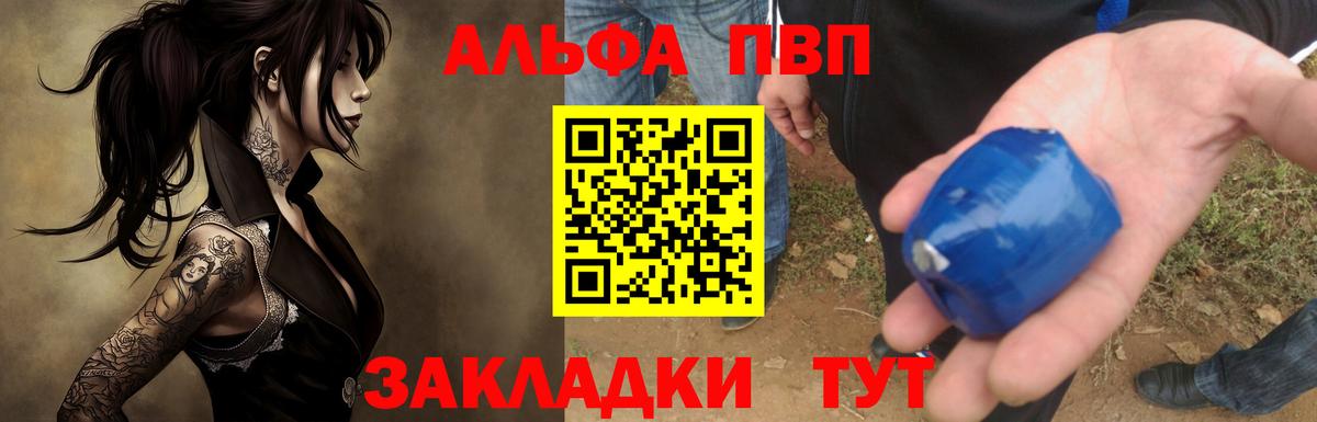 A PVP СК Саранск