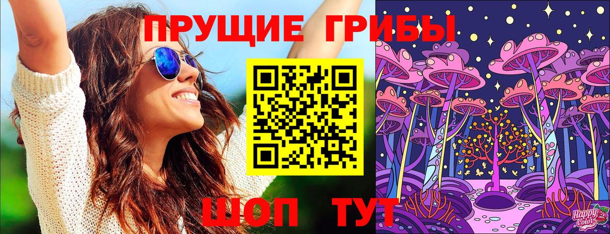 Саранск  Галлюциногенные грибы Psilocybine cubensis  Вход с VPN 